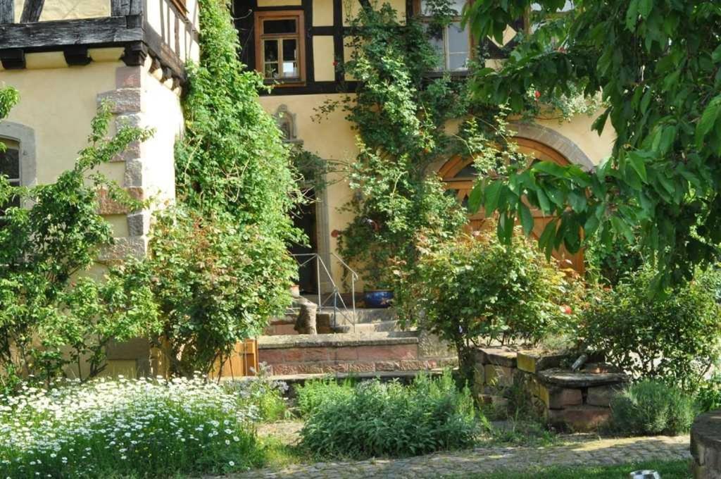 Gaestezimmer - Fuhrhalterei Maul Breuberg Ngoại thất bức ảnh