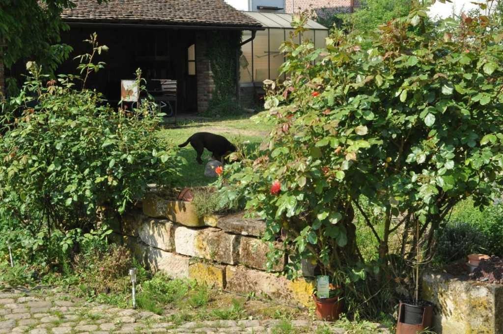 Gaestezimmer - Fuhrhalterei Maul Breuberg Ngoại thất bức ảnh