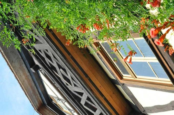 Gaestezimmer - Fuhrhalterei Maul Breuberg Ngoại thất bức ảnh