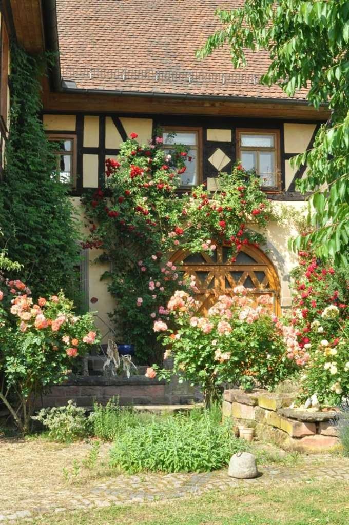 Gaestezimmer - Fuhrhalterei Maul Breuberg Ngoại thất bức ảnh