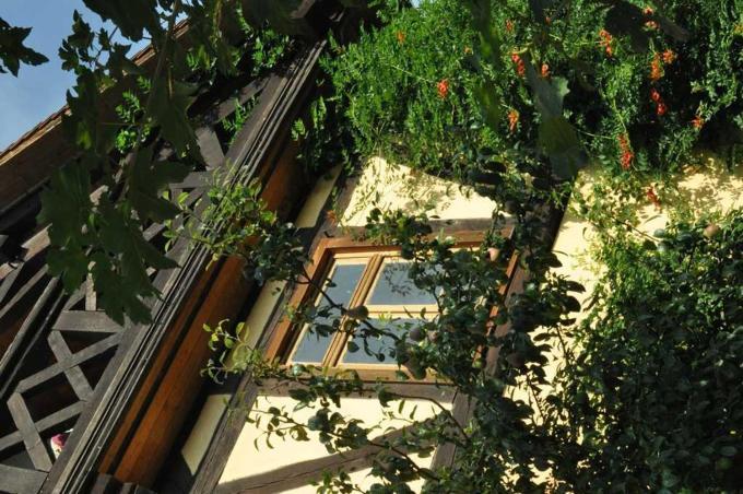 Gaestezimmer - Fuhrhalterei Maul Breuberg Ngoại thất bức ảnh