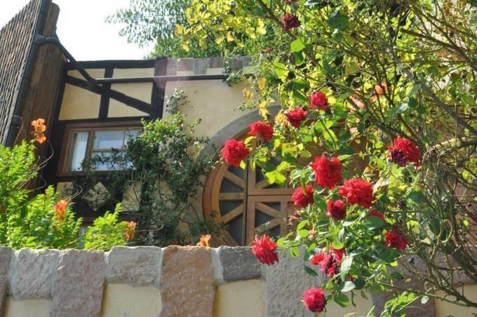 Gaestezimmer - Fuhrhalterei Maul Breuberg Ngoại thất bức ảnh