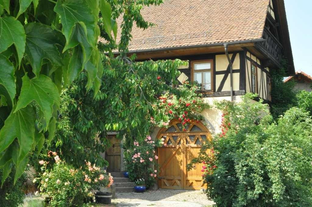 Gaestezimmer - Fuhrhalterei Maul Breuberg Ngoại thất bức ảnh